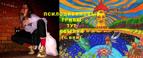 герыч Алзамай