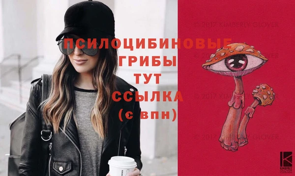 герыч Алзамай